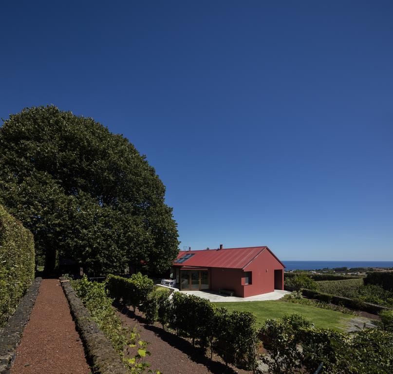 카펠라스 Quinta Da Tilia Boutique Retreat 게스트하우스 외부 사진