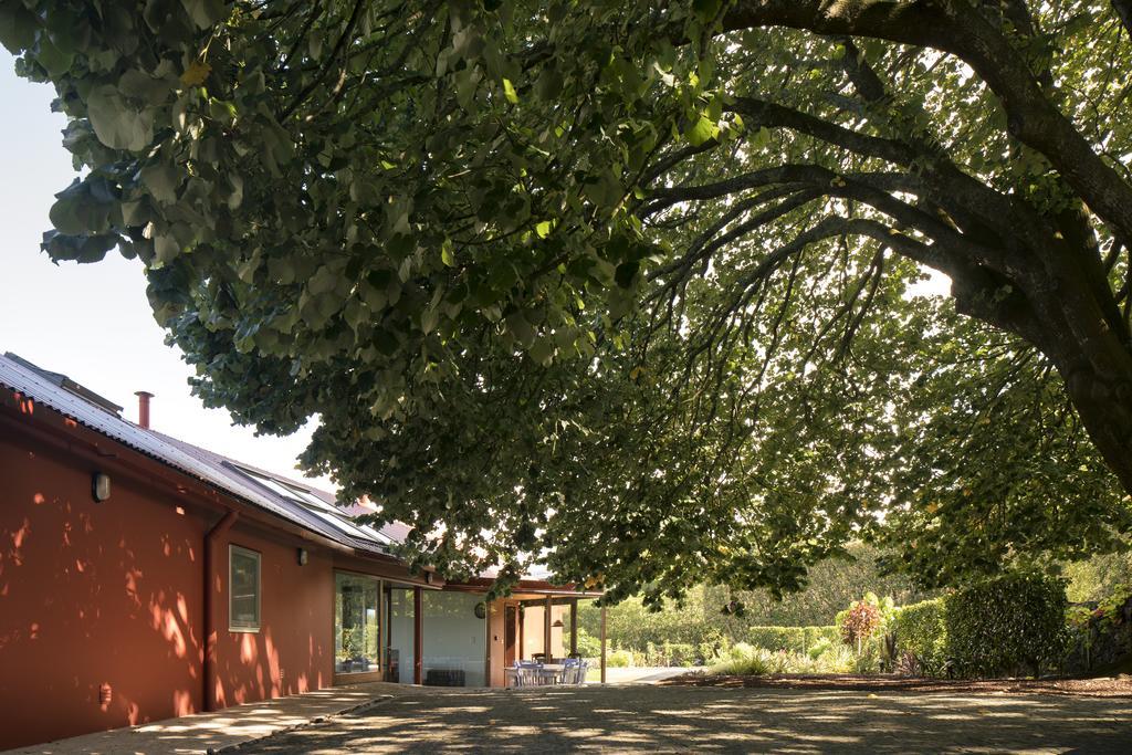 카펠라스 Quinta Da Tilia Boutique Retreat 게스트하우스 외부 사진